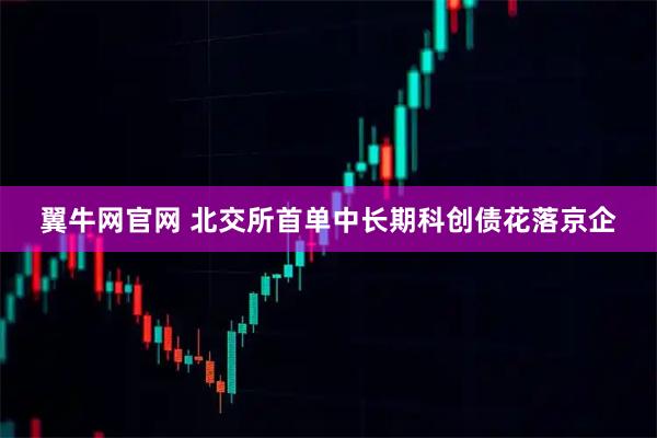 翼牛网官网 北交所首单中长期科创债花落京企