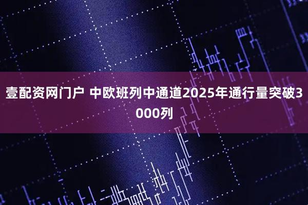 壹配资网门户 中欧班列中通道2025年通行量突破3000列