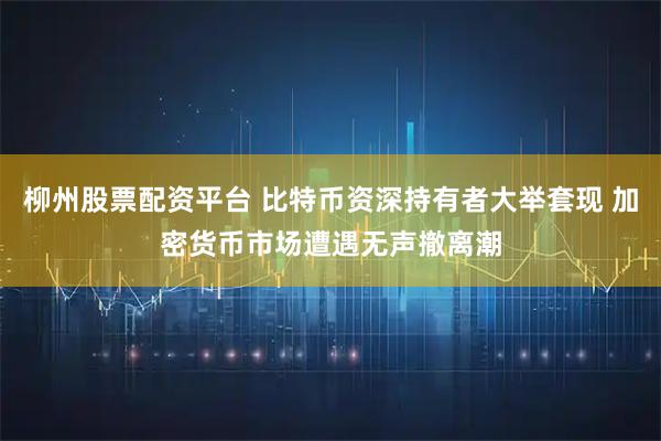 柳州股票配资平台 比特币资深持有者大举套现 加密货币市场遭遇无声撤离潮