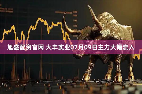旭盛配资官网 大丰实业07月09日主力大幅流入