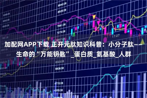 加配网APP下载 正开元肽知识科普:小分子肽——生命的“万能钥匙”_蛋白质_氨基酸_人群
