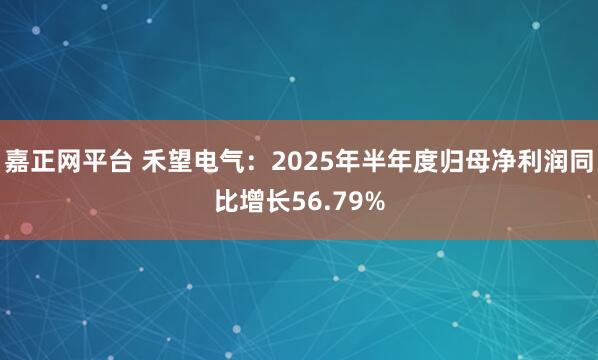 嘉正网平台 禾望电气：2025年半年度归母净利润同比增长56.79%
